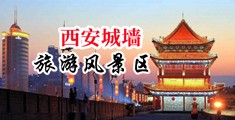 大黑屌插肥胖女人屄中国陕西-西安城墙旅游风景区