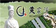 大鸡巴使劲操我骚逼